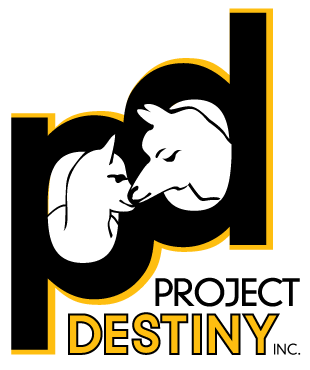 Project Destiny, Inc.
